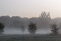 Orange sunrise over Kampinos National Park