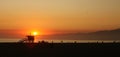 Orange Sunset Along the Sea in Venice Beach Califo