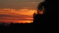 Orange sunset with beautiful undulating clouds and trees