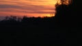 Orange sunset with beautiful undulating clouds and trees