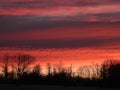 Pink and orange sunset behind country tree line in winter Royalty Free Stock Photo