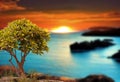 Orange sunset on blue sea wild trees and flowers beautiful  nature landscape Royalty Free Stock Photo