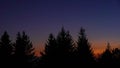 Orange Sunset and Moon Aligned Above Forest Canopy Royalty Free Stock Photo