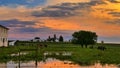 Orange Sunset over Farmlands with Horses and Barn over Corn Fields Royalty Free Stock Photo