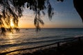 Orange sunset over the Indian Ocean on the coast of Pemba Island, Tanzania, with tropical tree branches Royalty Free Stock Photo