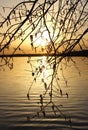 Orange sunset over the lake, beautiful abstract nature background, tree branches on the background of water, bright sky Royalty Free Stock Photo