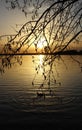 Orange sunset over the lake, beautiful abstract nature background, tree branches on the background of water, bright sky Royalty Free Stock Photo