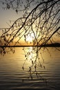 Orange sunset over the lake, beautiful abstract nature background, tree branches on the background of water, bright sky Royalty Free Stock Photo