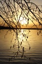 Orange sunset over the lake, beautiful abstract nature background, tree branches on the background of water, bright sky Royalty Free Stock Photo