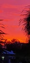 Orange Sunset Pacifique Royalty Free Stock Photo