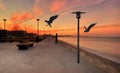 Orange  sunset pink sky dramatic clouds on promenade seaside street lamp lantern people walk on front seagull fly nature landscape Royalty Free Stock Photo