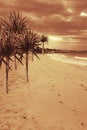 Orange sunset on the sea beach with palm trees Royalty Free Stock Photo