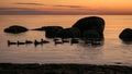 Orange sunset by the sea, black stone and bird silhouettes against the sea background, summer