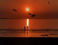 Orange sunset beach at sea people silhouette at sea wave enjoying panorama birds seagull fly romantic panorama seascape landscape