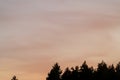 Orange sunset sky with trees. Royalty Free Stock Photo