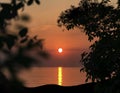 Orange sunset sun down and tree grass seagull  silhouette on front sea  summer narure landscape Royalty Free Stock Photo