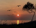 Orange sunset sun down and tree grass seagull  silhouette on front sea  summer narure landscape Royalty Free Stock Photo
