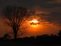 Orange sunset caused from fires with tree silhouette. Royalty Free Stock Photo