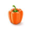 Orange Sweet Bulgarian Bell Pepper, Paprika