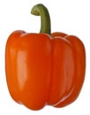 Orange sweet pepper