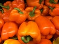 A pile of orange bell peppers