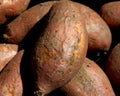 Orange Sweet Potatoes at Farmer`s market Royalty Free Stock Photo