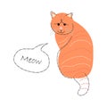 Orange tabby exotic cat . Cute cartoon characters . Flat shape and line stroke design .