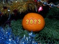 Orange tangerine on the Christmas tree with the numbers of the new year 2023. A greeting card for the new year 2023. Royalty Free Stock Photo
