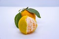 Orange Tangerine Green Citrus Fruit with leaves isolated white background