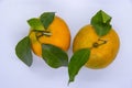 Orange Tangerine Green Citrus Fruit with leaves isolated white background Royalty Free Stock Photo