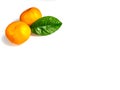 Orange tangerine with green leaves on a white background Royalty Free Stock Photo