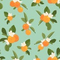 Orange tangerine mandarin clementine green leaves seamless pattern on green blue background. Organic bio healthy food. Royalty Free Stock Photo