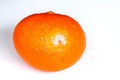 Orange tangerine with mold on a white background. Defective product, the fruit. Shelf life of products. isolated