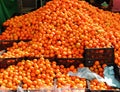 Orange tangerines mound in market vivid citrus