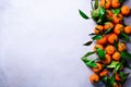 Orange tangerines oranges, mandarins, clementines, citrus fruits with green leaves on light background, copy space Royalty Free Stock Photo