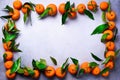 Orange tangerines oranges, mandarins, clementines, citrus fruits with green leaves on light background, copy space Royalty Free Stock Photo