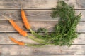 Orange tasty juicy carrot with green stem and leaves on wooden background. Good vision and carotene vitamins. Top view Royalty Free Stock Photo