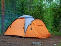 Orange tent on arcs in a green coniferous forest