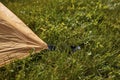 orange tent poles in the grass