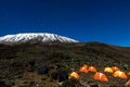 Orange tents illuminated before Mount Kilimanjaro during night