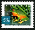 Orange Thighed Tree Frog Australian Postage Stamp