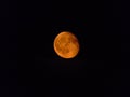 The orange Third Quarter of the Moon Royalty Free Stock Photo