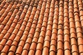 Orange tile on the roof