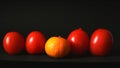 Orange and tomatoes in a row on a black background Royalty Free Stock Photo