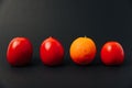 Orange and tomatoes in a row on a black background Royalty Free Stock Photo