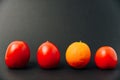 Orange and tomatoes in a row on a black background Royalty Free Stock Photo