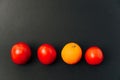 Orange and tomatoes in a row on a black background Royalty Free Stock Photo