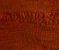 Orange toned wood charcoal texture. Burnt coal tree. Abstract grunge cracks background