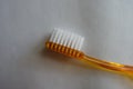 Orange toothbrush head with white bristle