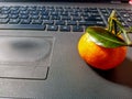 An orange on the top of laptop fresh and beauty